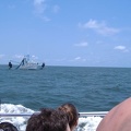 a shrimpin boat.....where we will hope to see some dolphins around